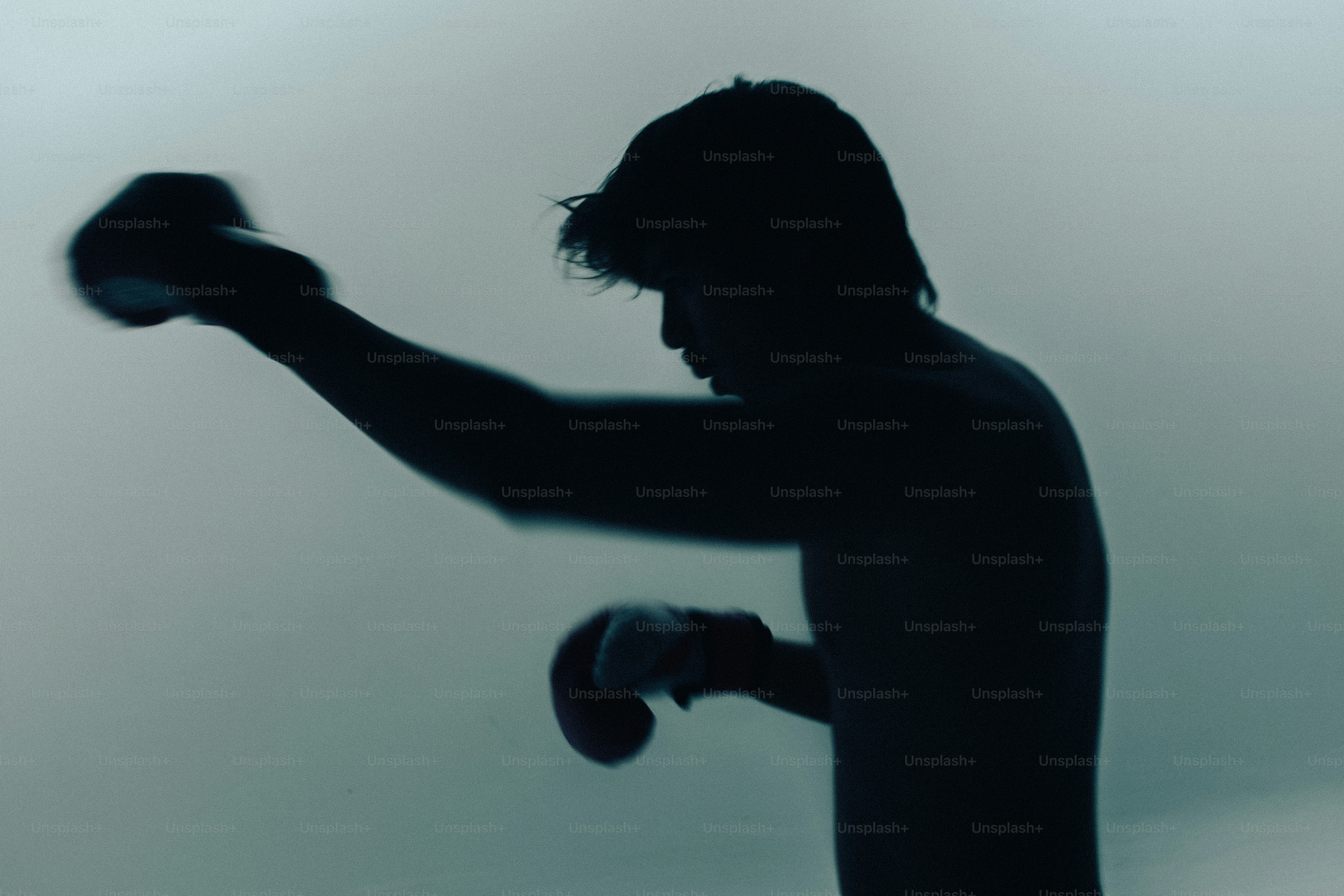 Person in silhouette throwing punch - Photo on Unsplash+