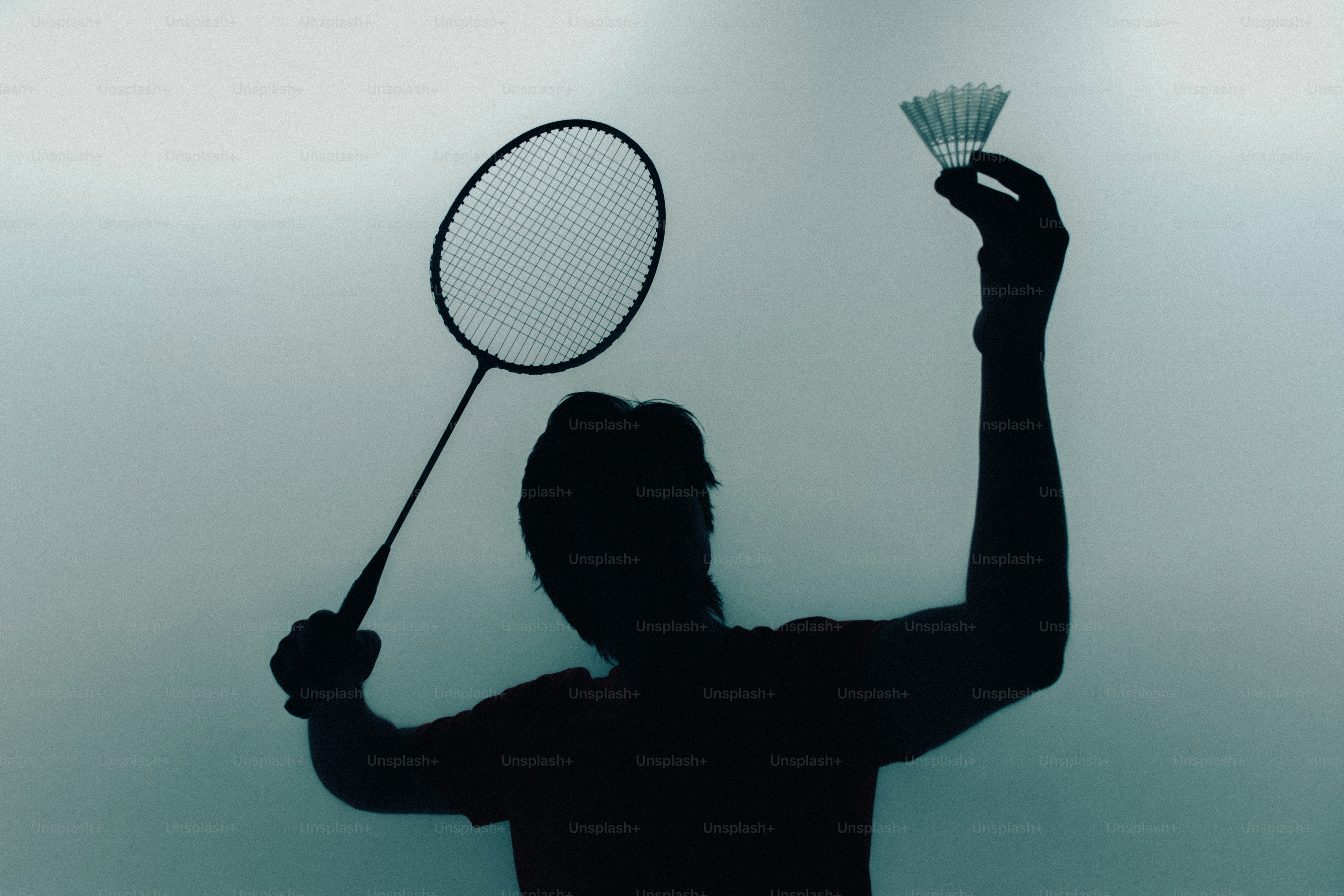 Person in silhouette throwing punch - Photo on Unsplash+