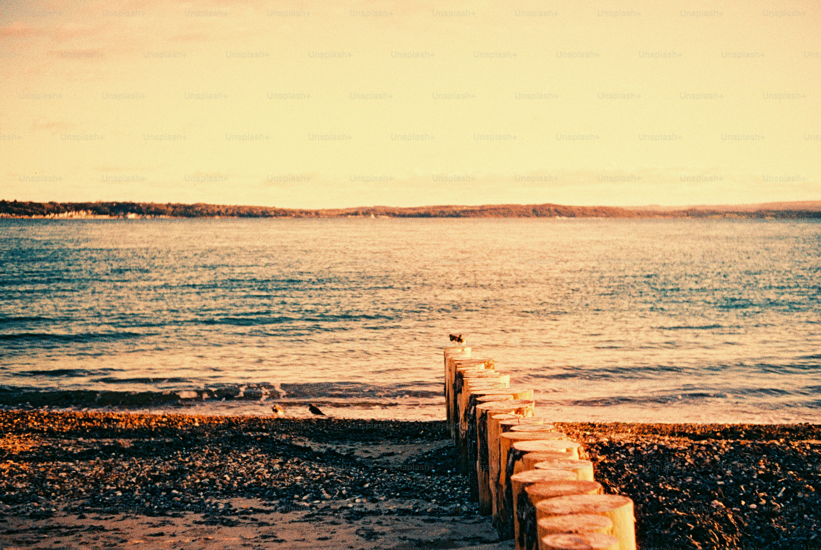 Postes de madera en Pebble Beach - Foto en Unsplash+