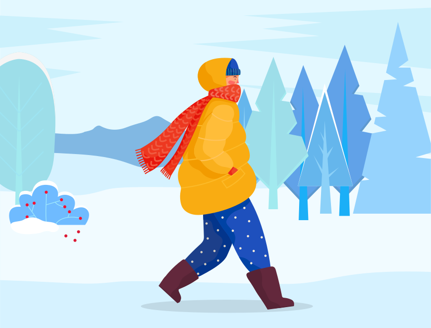 Person walk in snowy forest or park alone. Woman or man dressed in warm clothes like overcoat, hat and scarf. Beautiful snowy landscape with fir trees and shrubs. Vector illustration in flat style