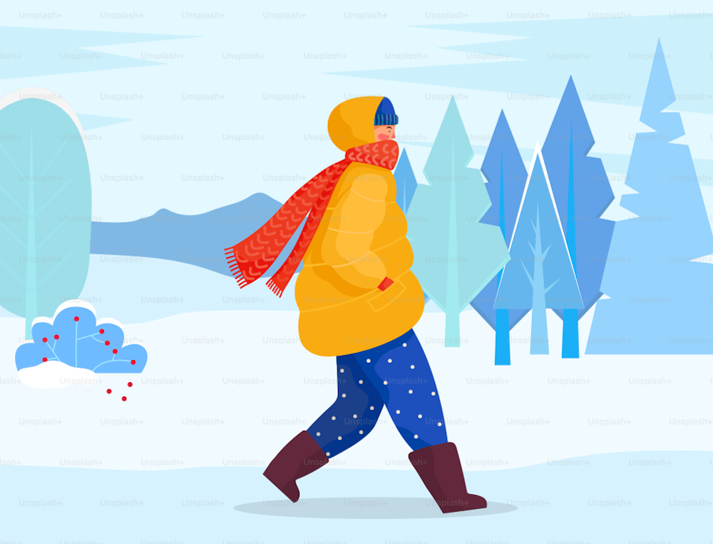 Person walk in snowy forest or park alone. Woman or man dressed in warm clothes like overcoat, hat and scarf. Beautiful snowy landscape with fir trees and shrubs. Vector illustration in flat style