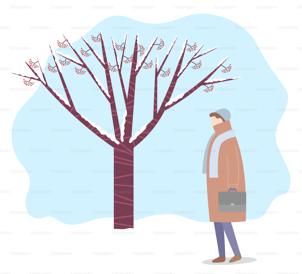 Personnage féminin portant des vêtements chauds, un chapeau et une écharpe marchant dans le parc d’hiver. Forêt avec des branches d’arbres couvertes de neige. Hiver et mauvaises conditions météorologiques. Vecteur caractère extérieur en plat