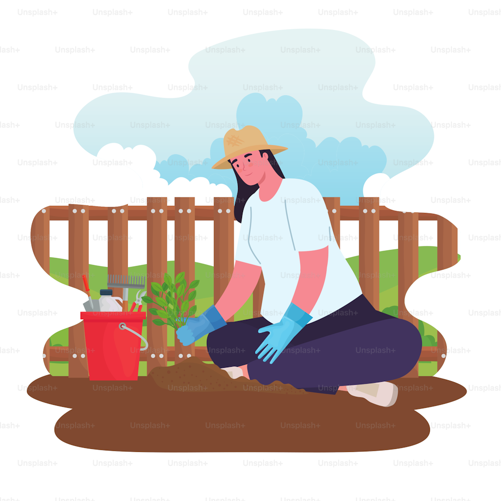 Gardening woman with tools bucket and plant design, garden planting and nature theme Vector illustration