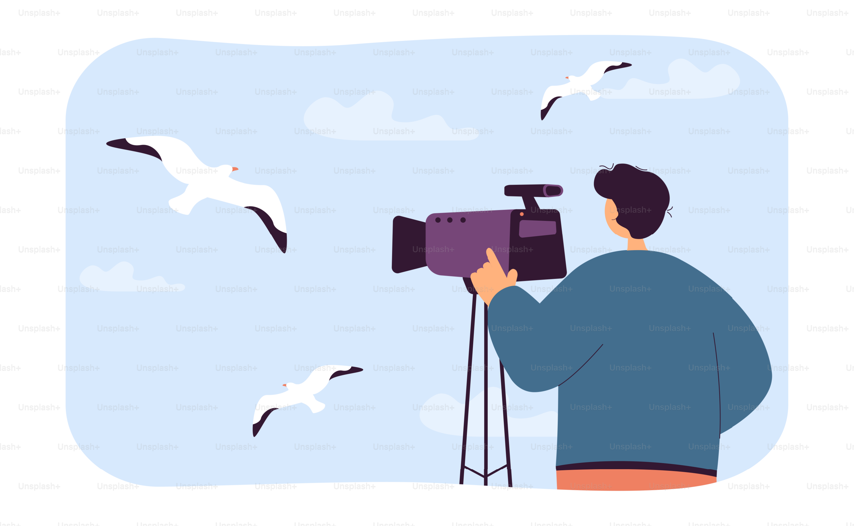 Director shooting birds in sky flat vector illustration. Man recording video of flying seagulls on camera. Occupation, seascape concept for banner, website design or landing web page