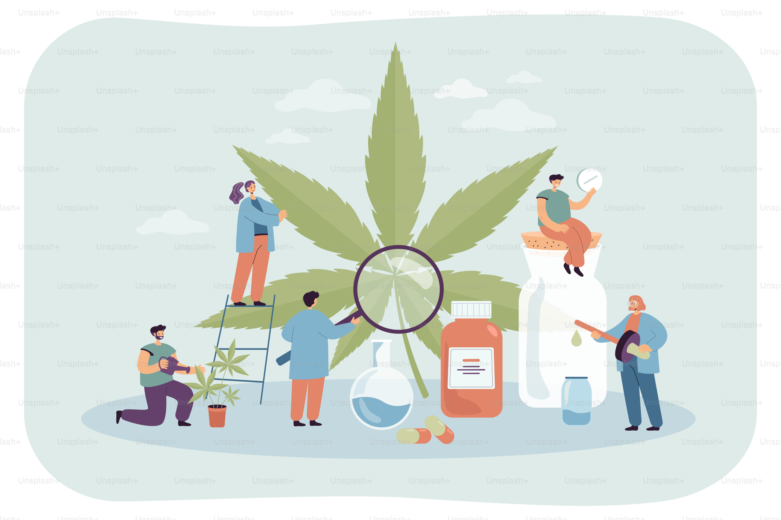 Tiny cartoon people examining, taking care of hemp providing it with water and food, producing medicaments. Cannabis flat vector illustration. Production of weed, healthcare, medicine concept