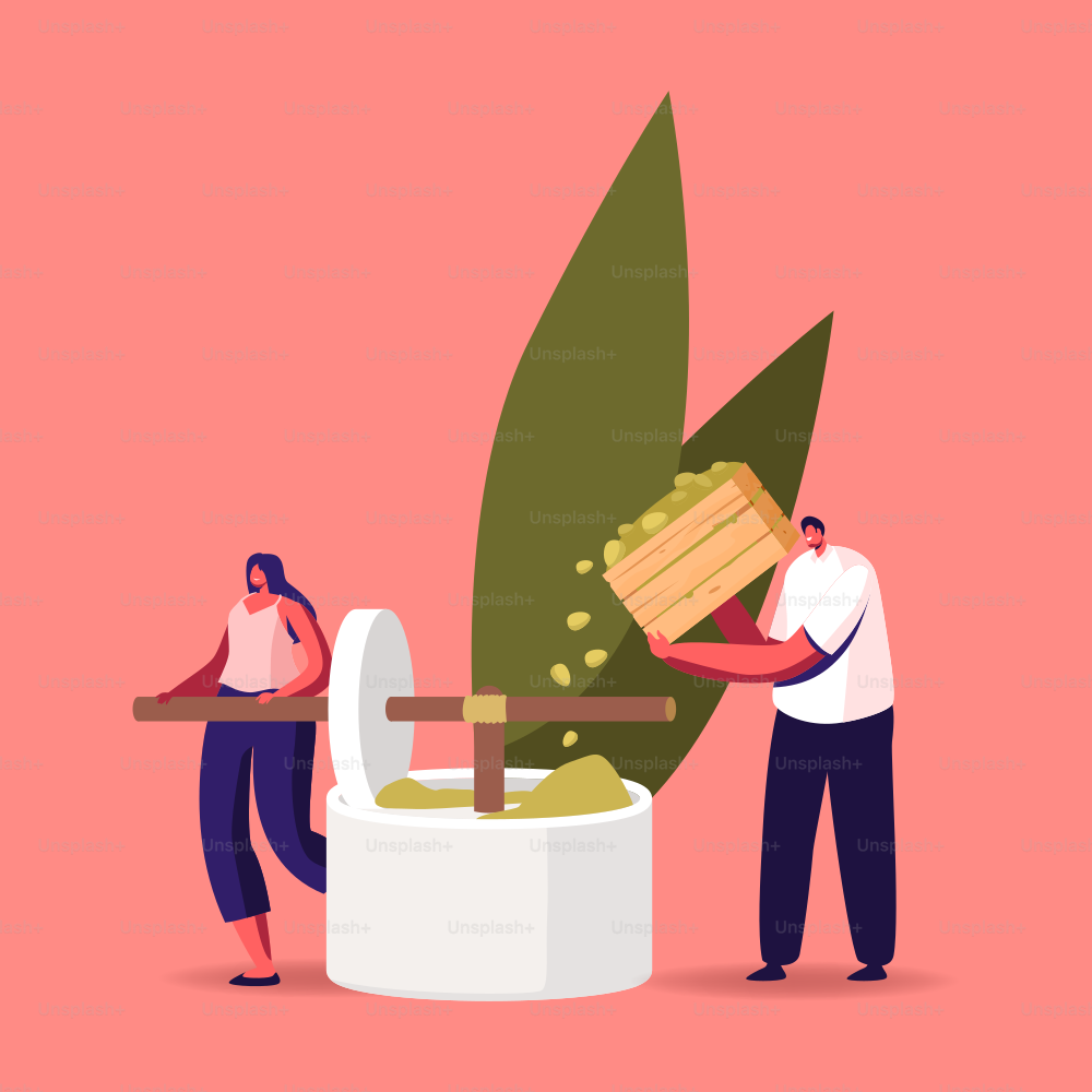 Farmers Male and Female Characters Rotate Manual Press Pouring Ripe Olives Crop for Pressing Extra Virgin Oil for Cosmetics, Beauty Care and Food Cooking Purposes. Cartoon People Vector Illustration