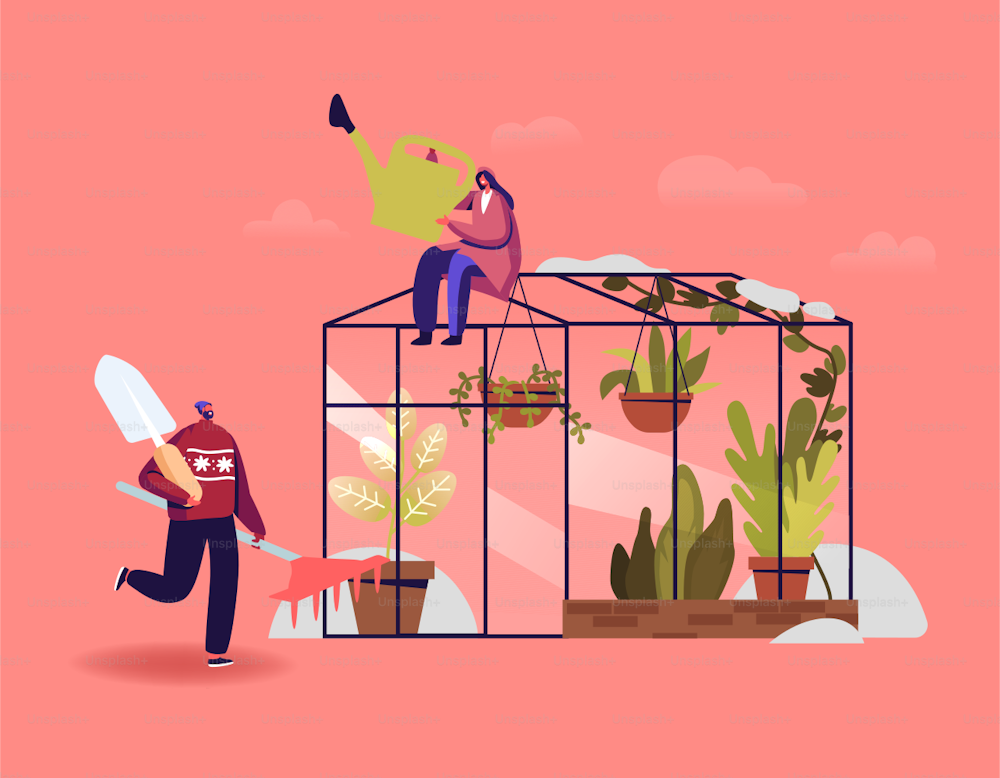 Gardener or Botanists Characters Working in Winter Garden Concept. People Planting Flowers and Potted Plants in Greenhouse Orangery Watering, Fertilizing and Raking Soil. Cartoon Vector Illustration