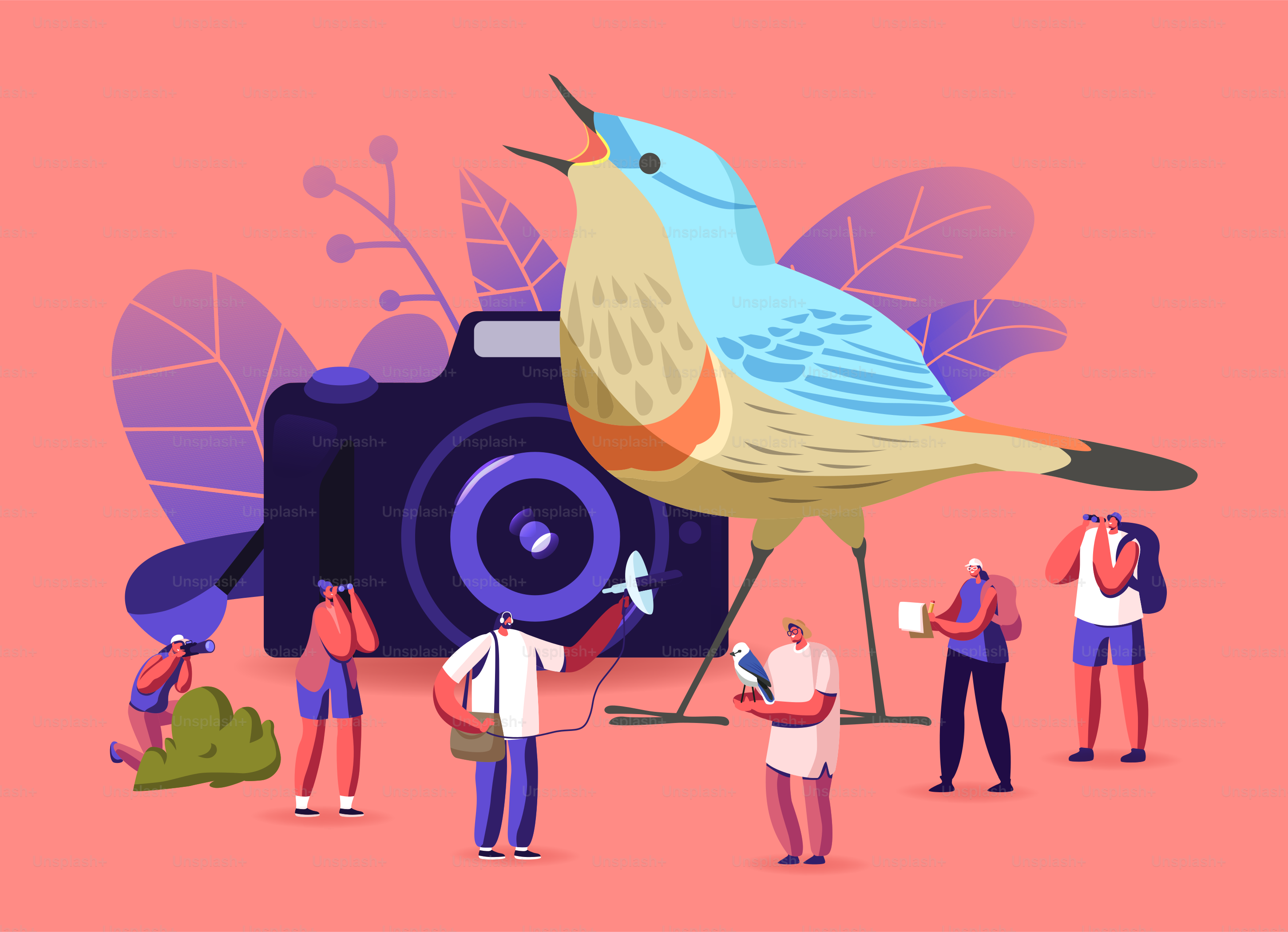 Birding, Conceito de Ornitologia. Os ornitólogos agrupam personagens usando binóculos, câmeras e equipamentos especiais para observação de aves. Observação em Habitats Naturais Hobby. Ilustração vetorial de pessoas dos desenhos animados