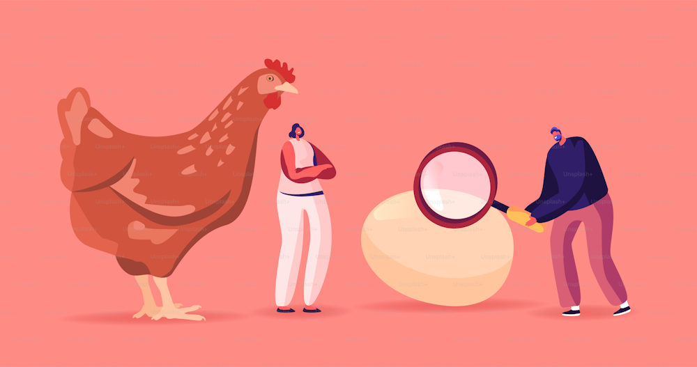 Tiny Male and Female Characters at Huge Hen with Magnifier Solve Paradox Which Came First Chicken or Egg. Causality Dilemma, Chicken-and-egg Metaphoric Adjective. Cartoon People Vector Illustration