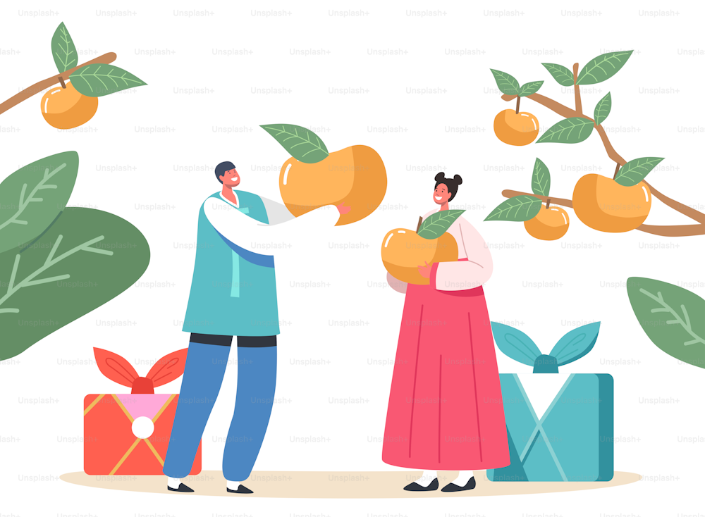 Chuseok Tteok Korean Tradition Concept. Happy Asian Kids Characters Wearing Traditional Costumes Hanbok Holding Persimmons, Thanksgiving Day Celebration, Holiday. Cartoon People Vector Illustration