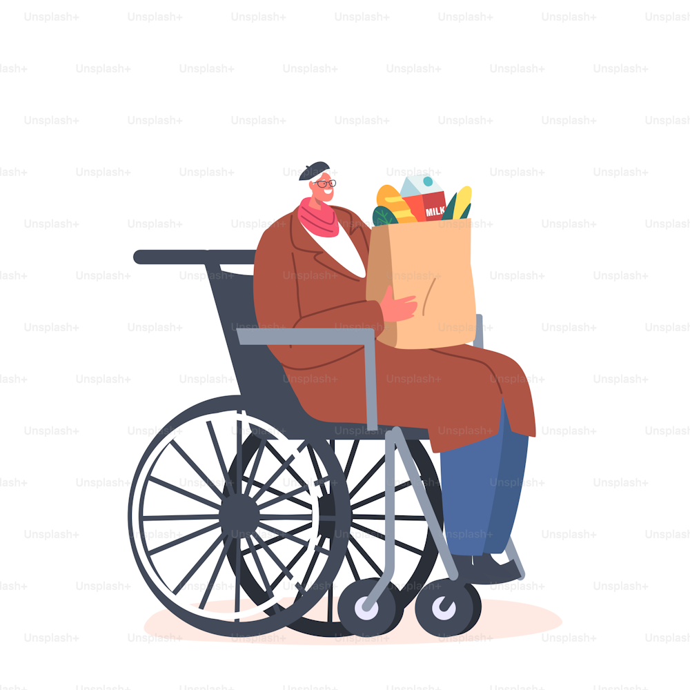 Senior Woman with Grocery in Paper Bag Sitting on Wheelchair Isolated on White Background. Disabled Female Character Donation, Shopping. Helpless Old Grandmother. Cartoon People Vector Illustration