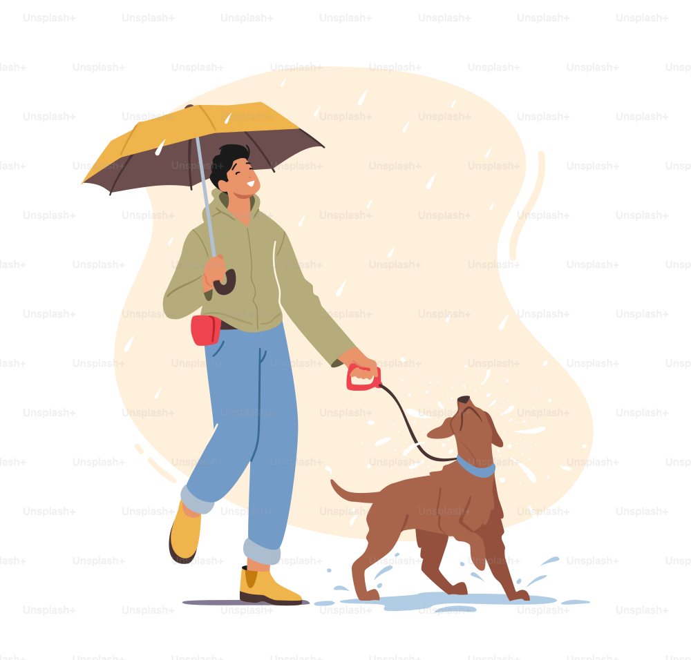 Hombre joven caminando con perro juguetón en clima lluvioso, personaje masculino con paraguas caminar con mascota por la mañana, recreación con animales domésticos, tiempo libre al aire libre, amistad. Ilustración vectorial de dibujos animados