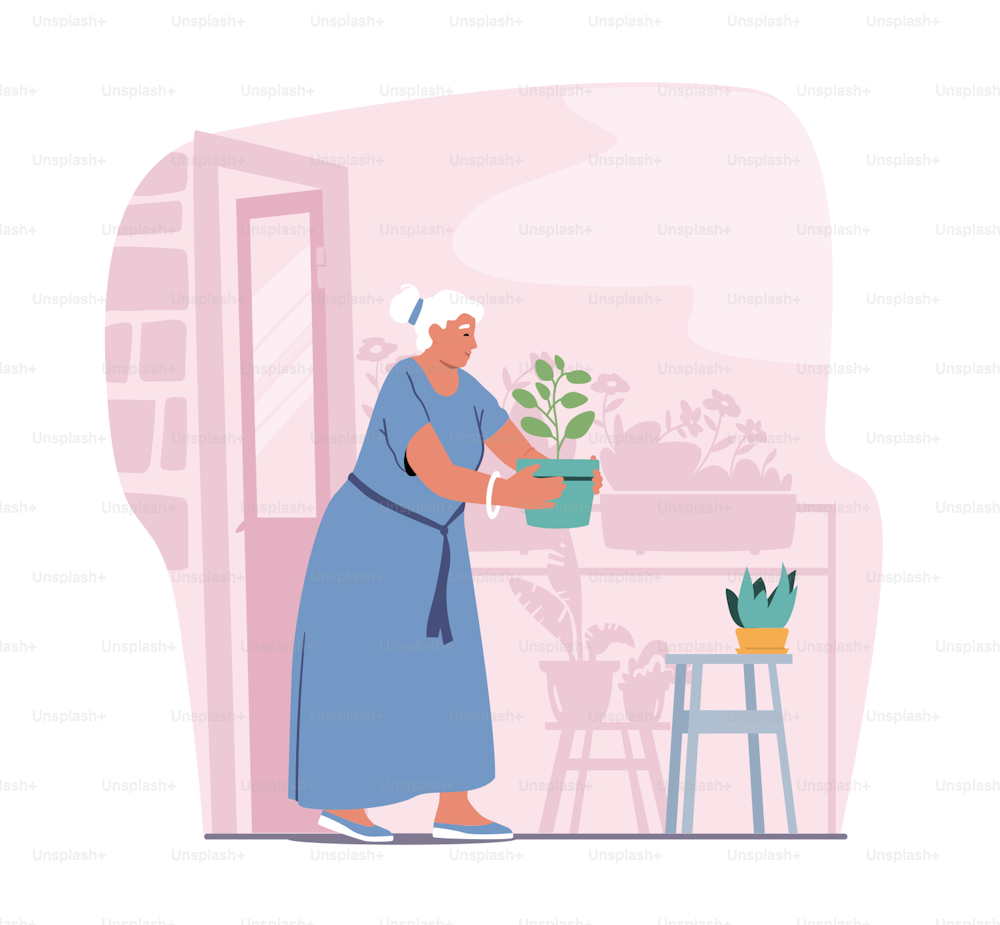 Senior Woman Gardening Hobby. Aged Grey Haired Female Character Caring of Home Plants in Pots. Old Lady in Domestic Dress Carry Flower Pot with Green Sprout. Cartoon People Vector Illustration