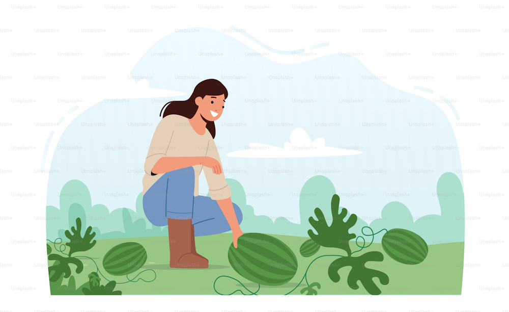 庭のベッドで熟した果物を収穫するスイカ農園で働く女性農家。牧場で熟した植物を摘む庭師の女性キャラクター、健康的な農場生産。漫画のベクターイラスト