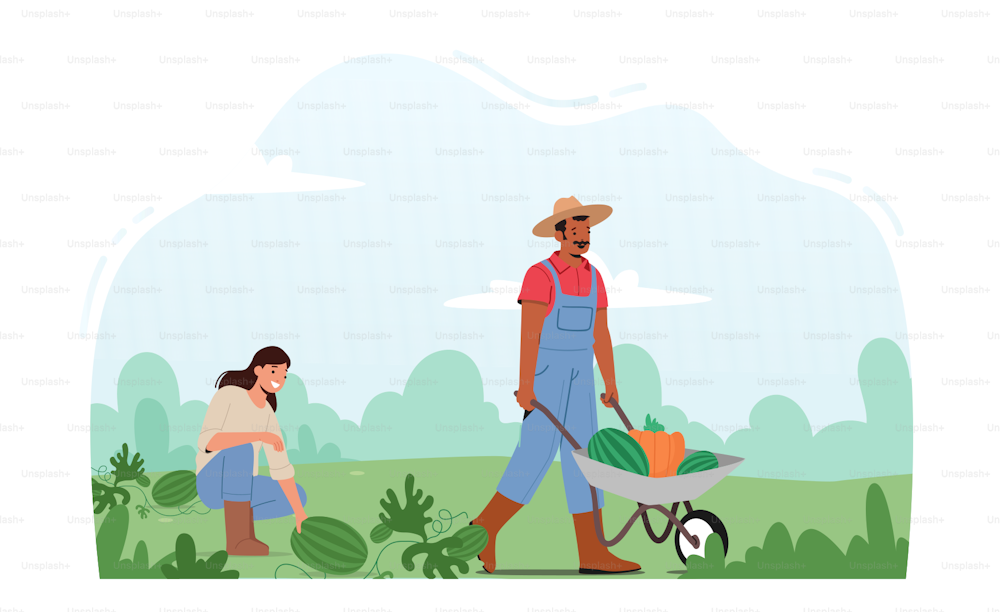 農場での季節労働。男性と女性の農民は果樹園の手押し車に収穫物を選びます。庭や農場で熟したスイカとニンジンを収穫する庭師のキャラクター。漫画のベクターイラスト