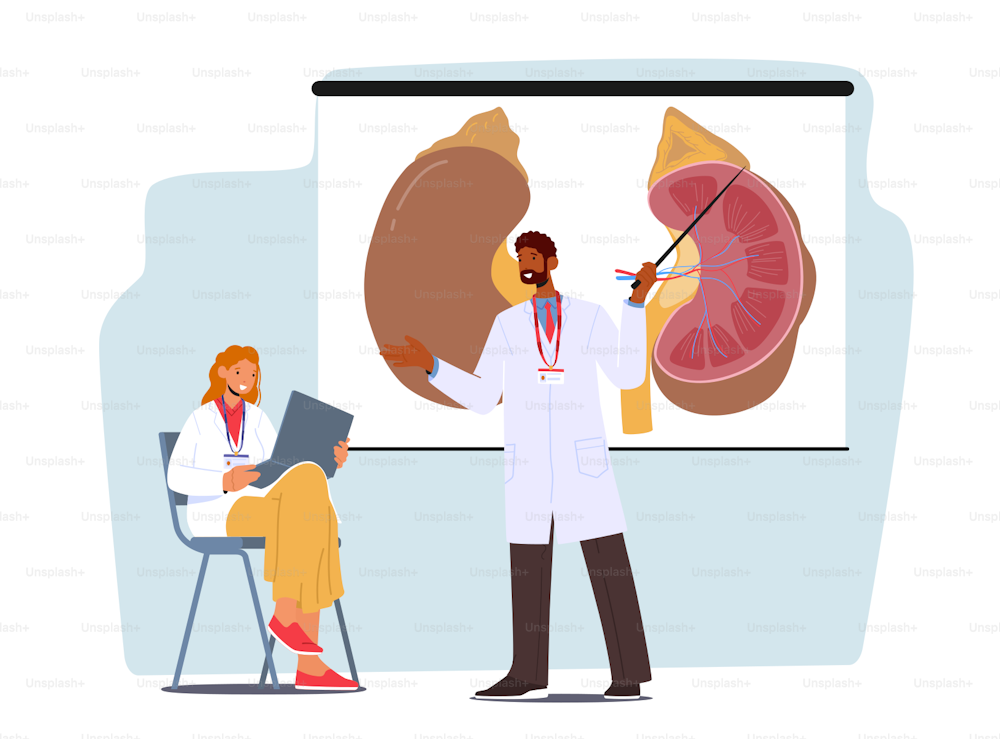 Conference or Lesson in Medical School. Medicine Education, Seminar. Science Presentation. Training Lecture in Classroom with Student and Teacher Character at Board. Cartoon People Vector Illustration