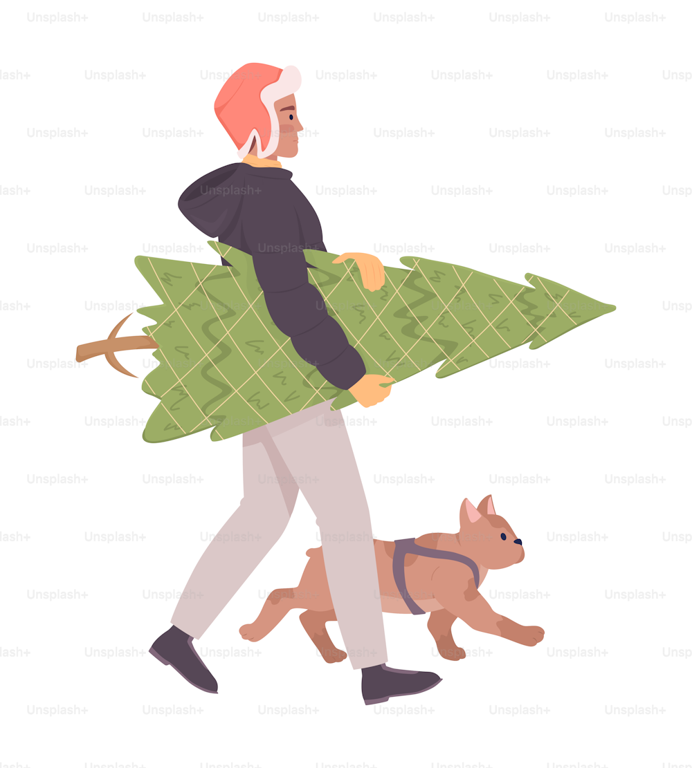Man with real Christmas tree and french bulldog semi flat color vector characters. Editable figures. Full body person on white. Simple cartoon style illustration for web graphic design and animation