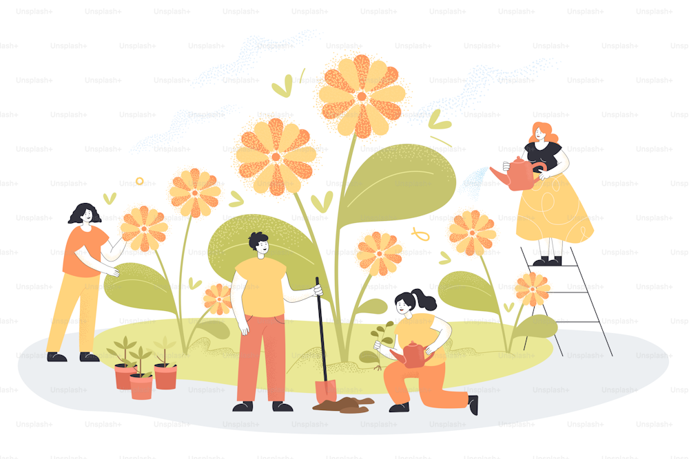Trabajo de jardinería de personas que cultivan flores amarillas en primavera juntas. Personas diminutas regando plantas, floristas felices jardinería primavera plana vector ilustración. Naturaleza, hobby, concepto de agricultura