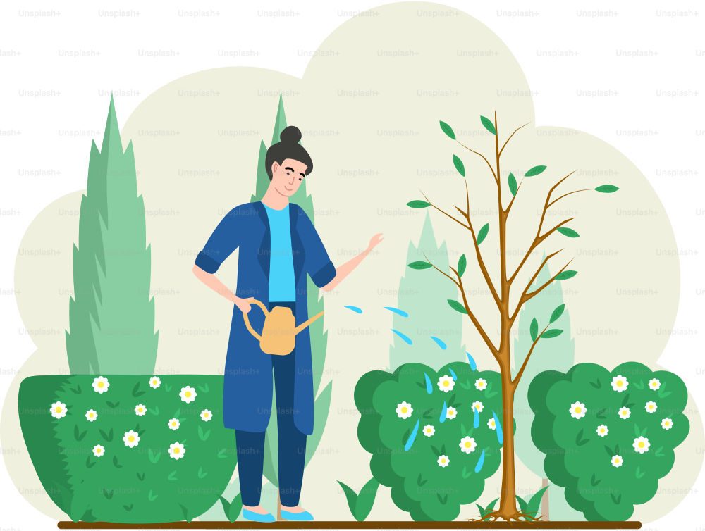 Girl gardening plant. Woman planting tree, pours water from watering can, agriculture gardener hobby and garden job in garden. Gardening female person takes care of young plantings in spring