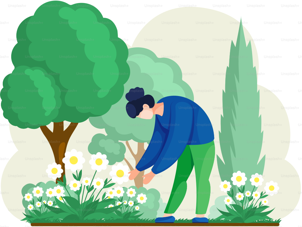 Girl cultivating plants on backyard flowers on beautiful flower bed, enjoying white daisies in spring garden. Organic gardening illustration. Woman gardener worker is engaged in gardening in grounds
