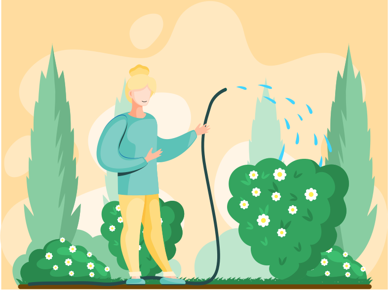 Girl gardening plant. Woman planting small tree, pours water on him from hose, agriculture gardener hobby and garden job in garden. Gardening female person takes care of young plantings in spring