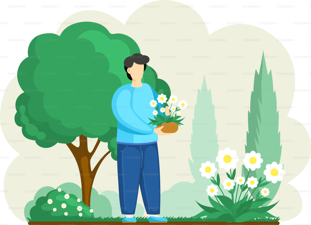 Homem cultivando plantas em flores de quintal em lindo canteiro de flores, desfrutando de margaridas brancas no jardim da primavera. Ilustração de jardinagem orgânica. Trabalhador jardineiro do sexo masculino está envolvido em jardinagem em terrenos