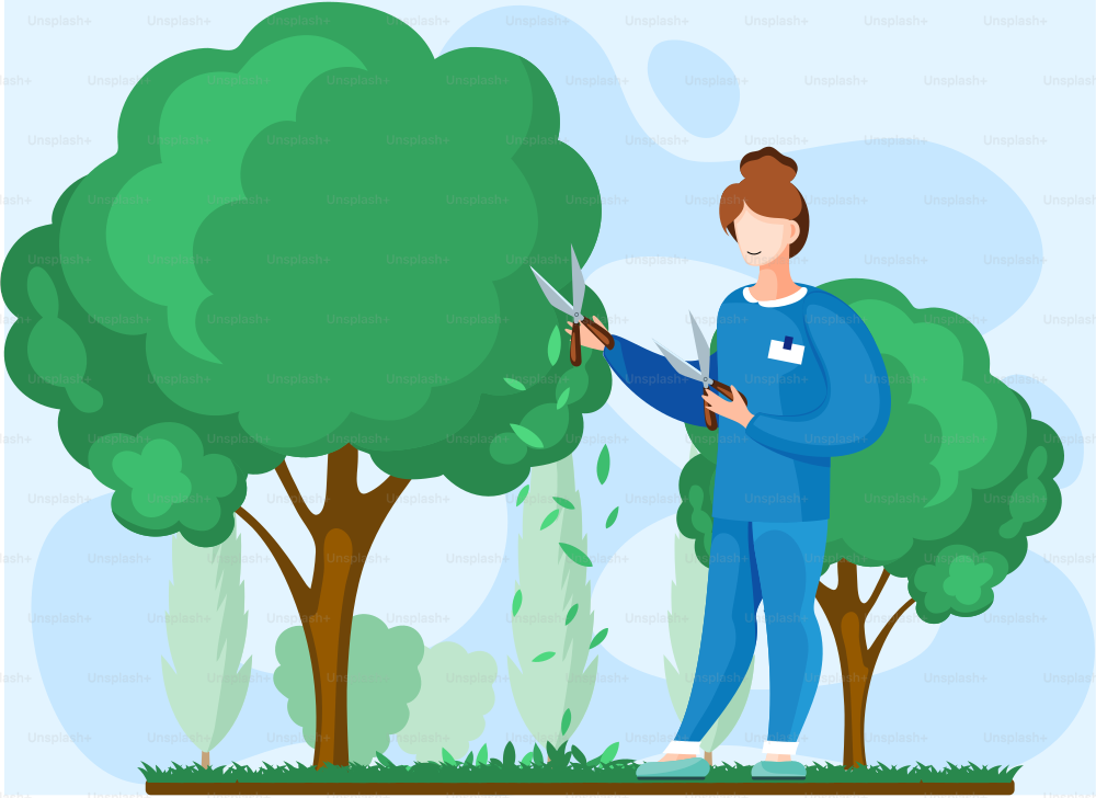 Gardener works in garden woman with scissors cuts big green tree and shrub, takes care of plants agricultural worker. Spring gardening concept, pruning. Girl planting garden trees, horticulture