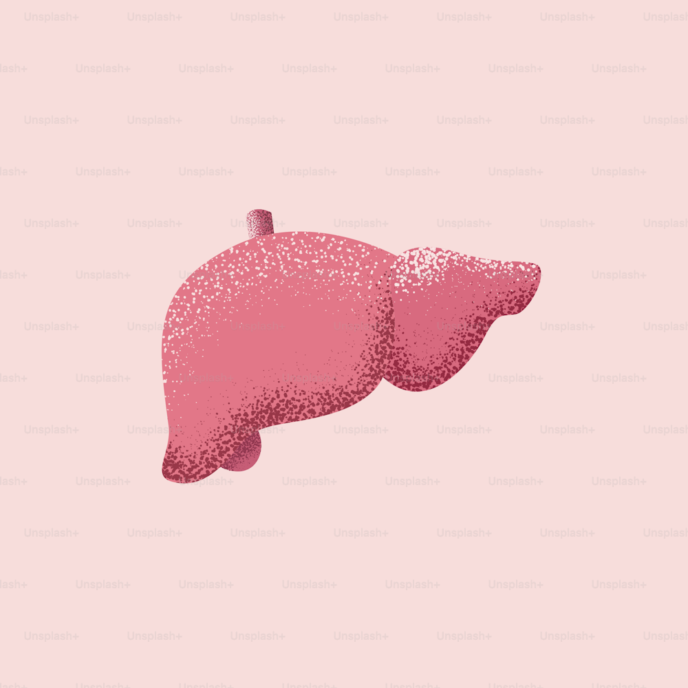 Vector eps 10 ilustración del hígado humano aislado sobre fondo rosa. Ilustración médica para blog o publicación o banner en redes sociales.