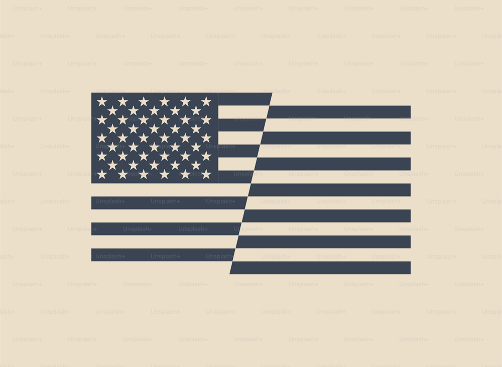 Bandiera USA di colore bianco e nero isolata su sfondo chiaro. Simbolo nazionale americano. Illustrazione vettoriale eps 10 in stile vintage