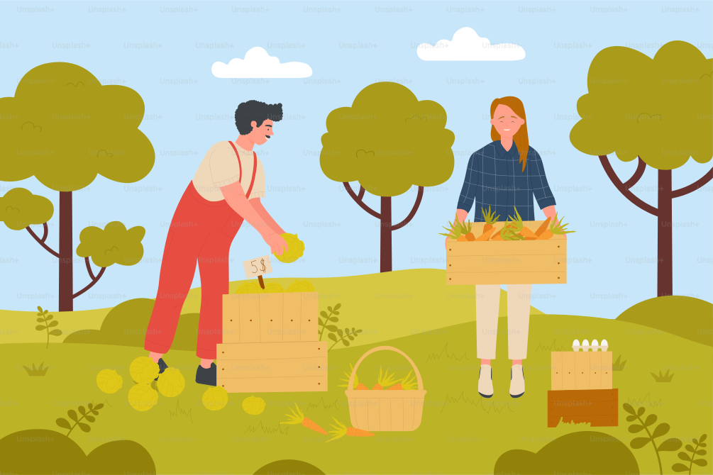 Farmer people harvesting vegetables in farm garden vector illustration. Cartoon happy woman gardener holding wooden basket full of carrot vegetables, man standing with cabbage harvest background