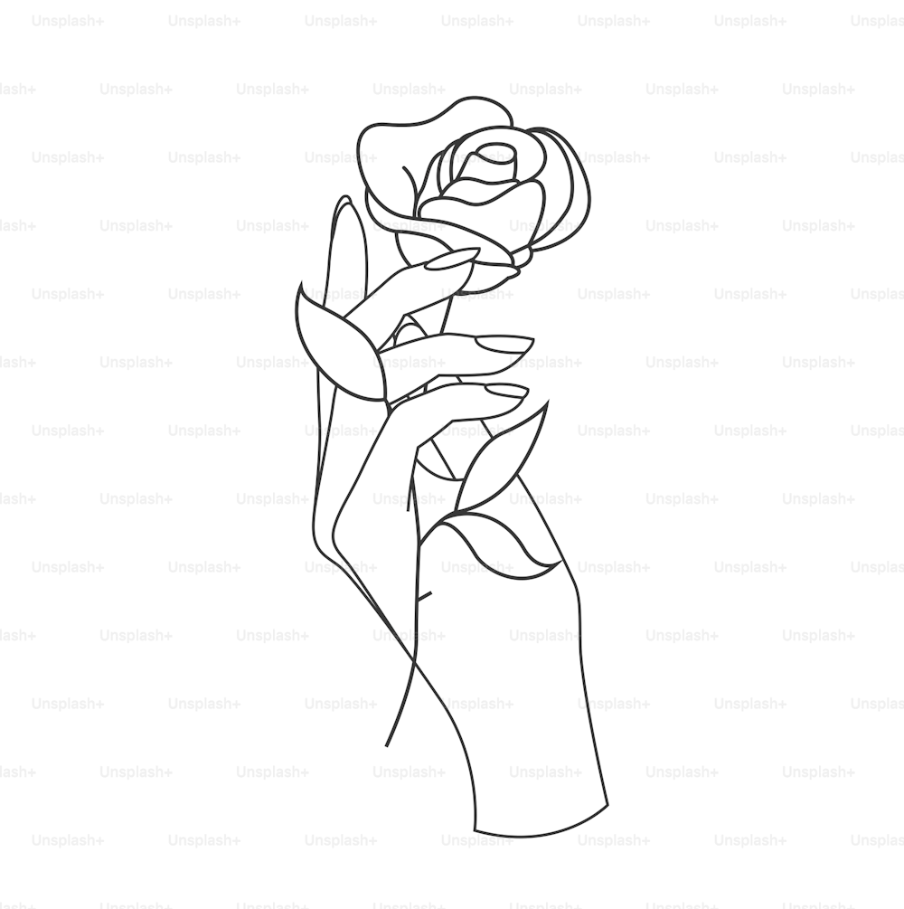 Schöne Frau Hand hält Blume der Rose isoliert auf weißem Hintergrund. Minimalistisch umrissene Vektorillustration für Logo oder Emblem oder Symbol.