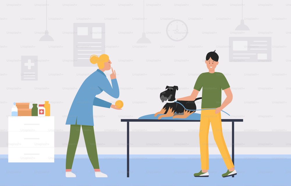 Examen médico veterinario, dueño de mascotas y perro en ilustración vectorial interior de clínica veterinaria. Especialista médico de dibujos animados que examina al cachorro en la mesa, atención médica veterinaria en el fondo de la oficina de la medicina