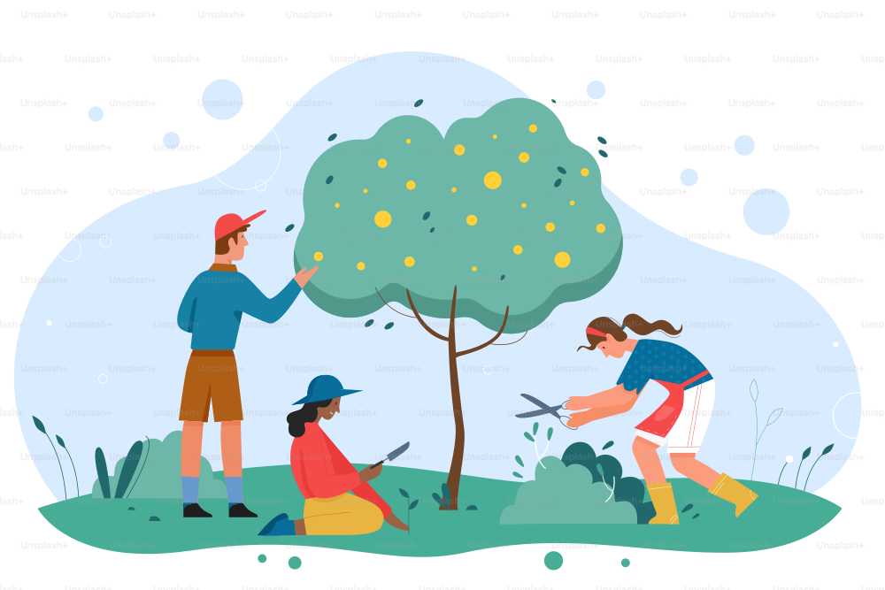Work of gardeners to care for garden or park. Team of eco volunteers people grow plants, trees and shrubbery, working with gardening tools flat vector illustration. Agriculture, nature concept