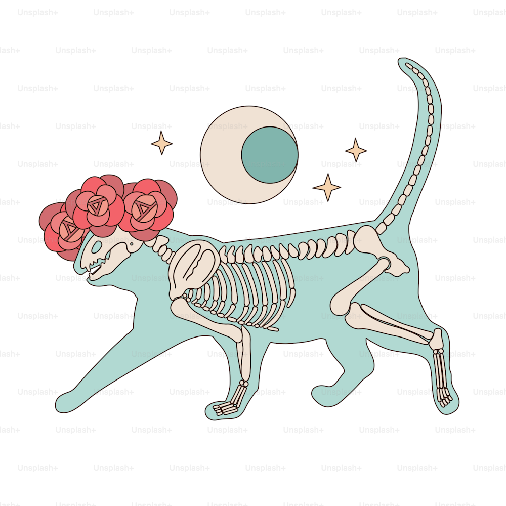 Gruseliger Boho-Outfit-Print. Skelettkatze in Rosen Blumenkranz mit Halbmond und Sternen. Design für Halloween und den mexikanischen Feiertag Tag der Toten. Lineare ästhetische handgezeichnete Vektorillustration