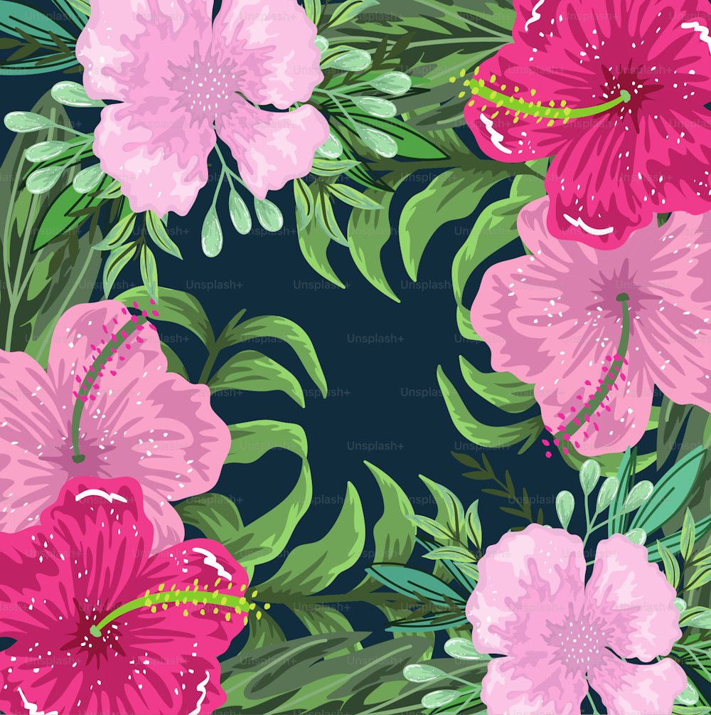 flores exóticas hibisco y follaje decoración fondo, ilustración vectorial diseño de pintura