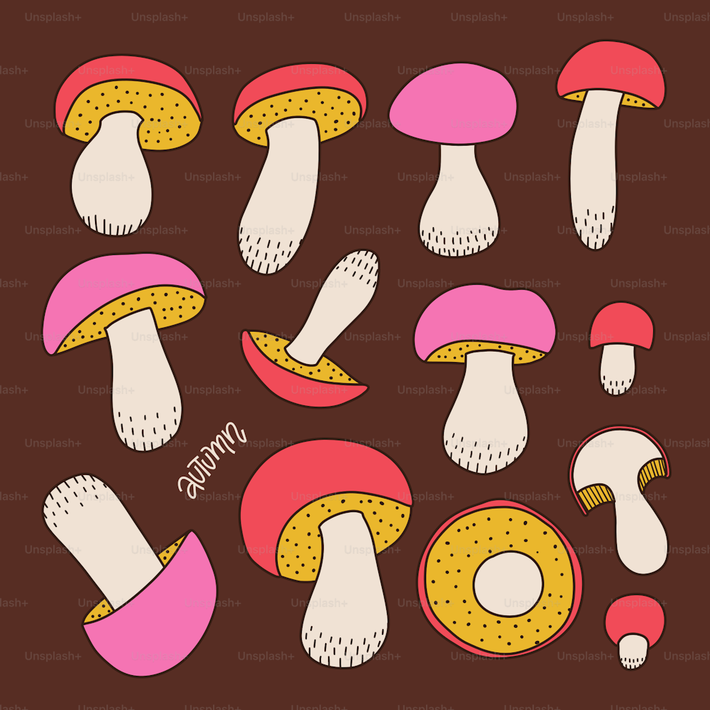 Hand-drawn colorful forest wild collection of assorted edible mushrooms. Can be used for menu design, label, icon, recipe, packaging, web. Botanical vector set