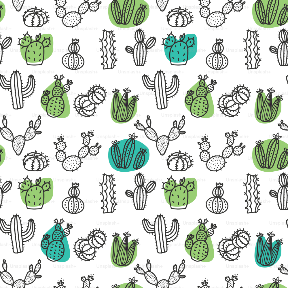 Hand-drawn succulents and cactus doodle pattern. Outlined blackon white illustration with green spots. Seamless pattern with succulents . Vector print with cacti in minimalistic scandinavian style