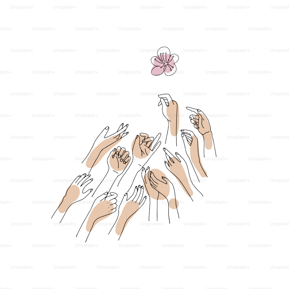 Fiore astratto di ciliegia su molte mani femminili. Stile line art disegnato a mano. Magico design femminile. Braccia delle donne con il fiore Isolato su sfondo bianco. Composizione di mani che raggiungono il bocciolo.