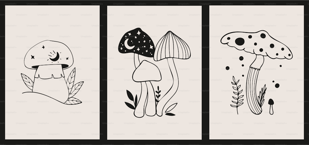 Set of three stylish illustrations. Black logo light background. Hand drawn ink templates.