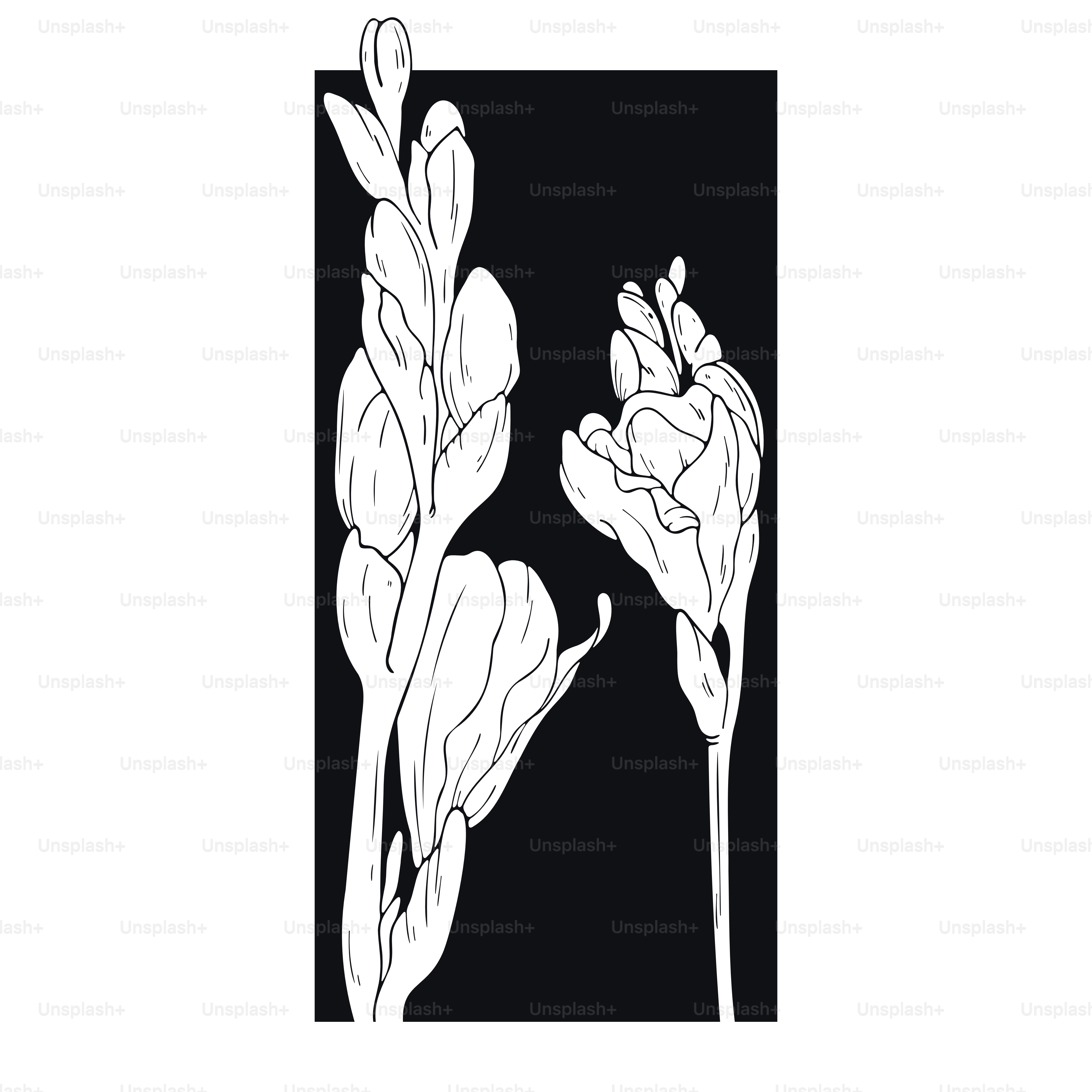 Ilustración de arte lineal dibujado a mano. Planos detallados de esquema. Plantillas para libros para colorear, tatuajes, pegatinas, grabados.