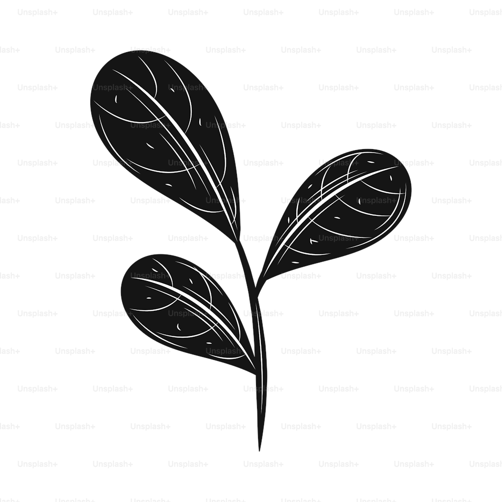 leaves colorless esoteric icon isolated