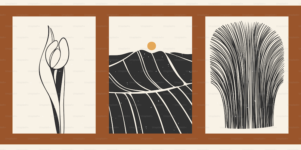Ensemble de trois arrière-plans esthétiques abstraits minimalistes avec soleil, paysage, lignes fines, motifs, plantes.