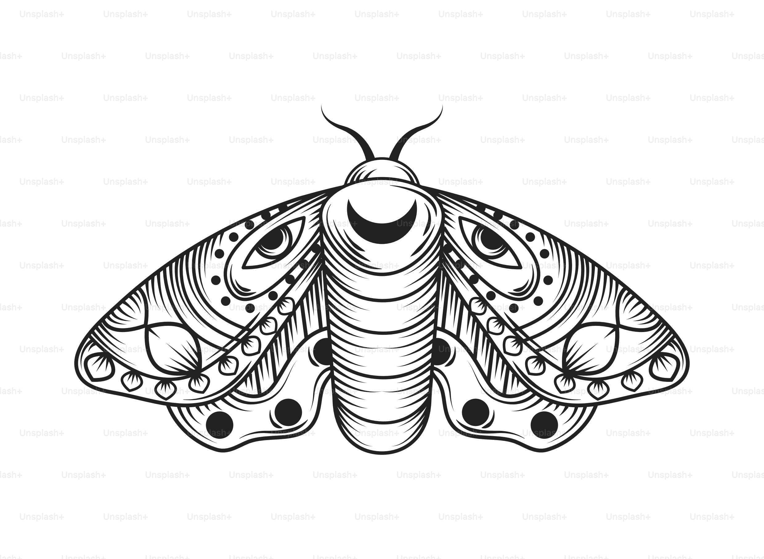 Icono aislado de alquimia mágica de insectos