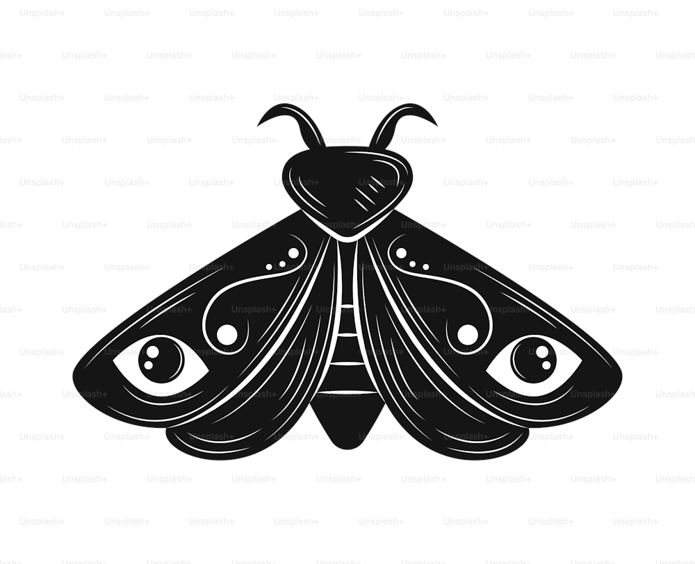 butterfly colorless esoteric icon isolated