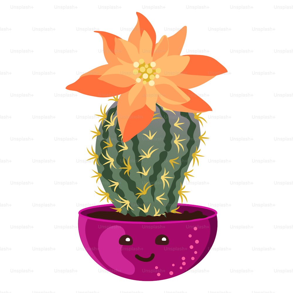 Cute kawaii cactus in pots. Cartoon style. Vector images on a white substrate for printing stickers, postcards.