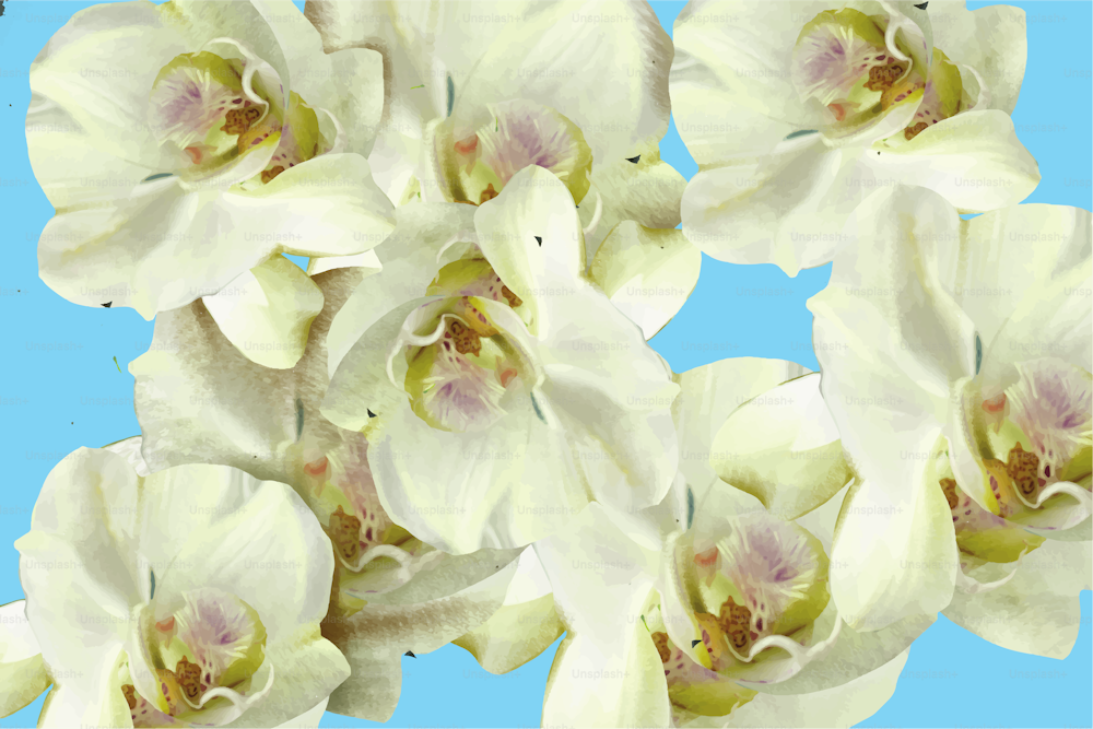 Seamless pattern of white orchids on a blue background