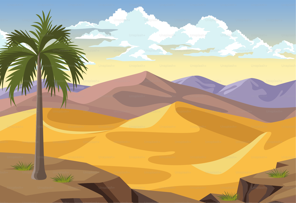 desert with palm landscape scene