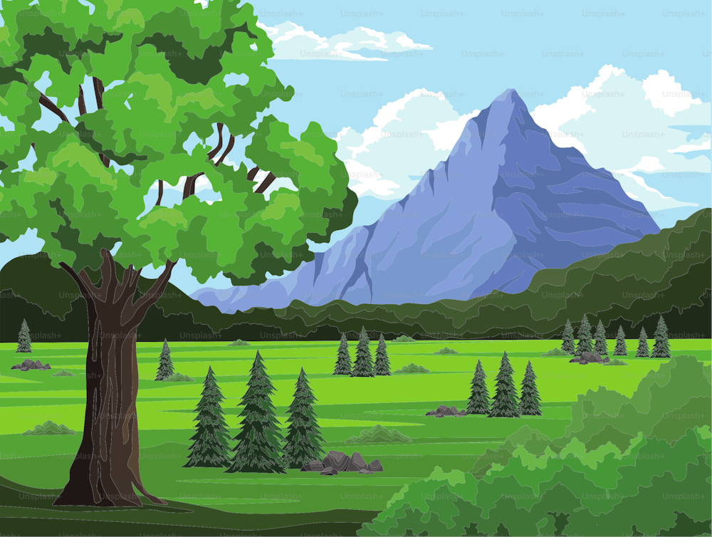 trees and mountain wanderlust scene