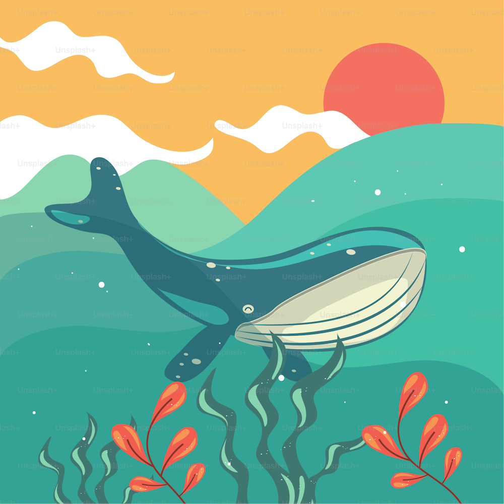 underwater whale scene cartoon design