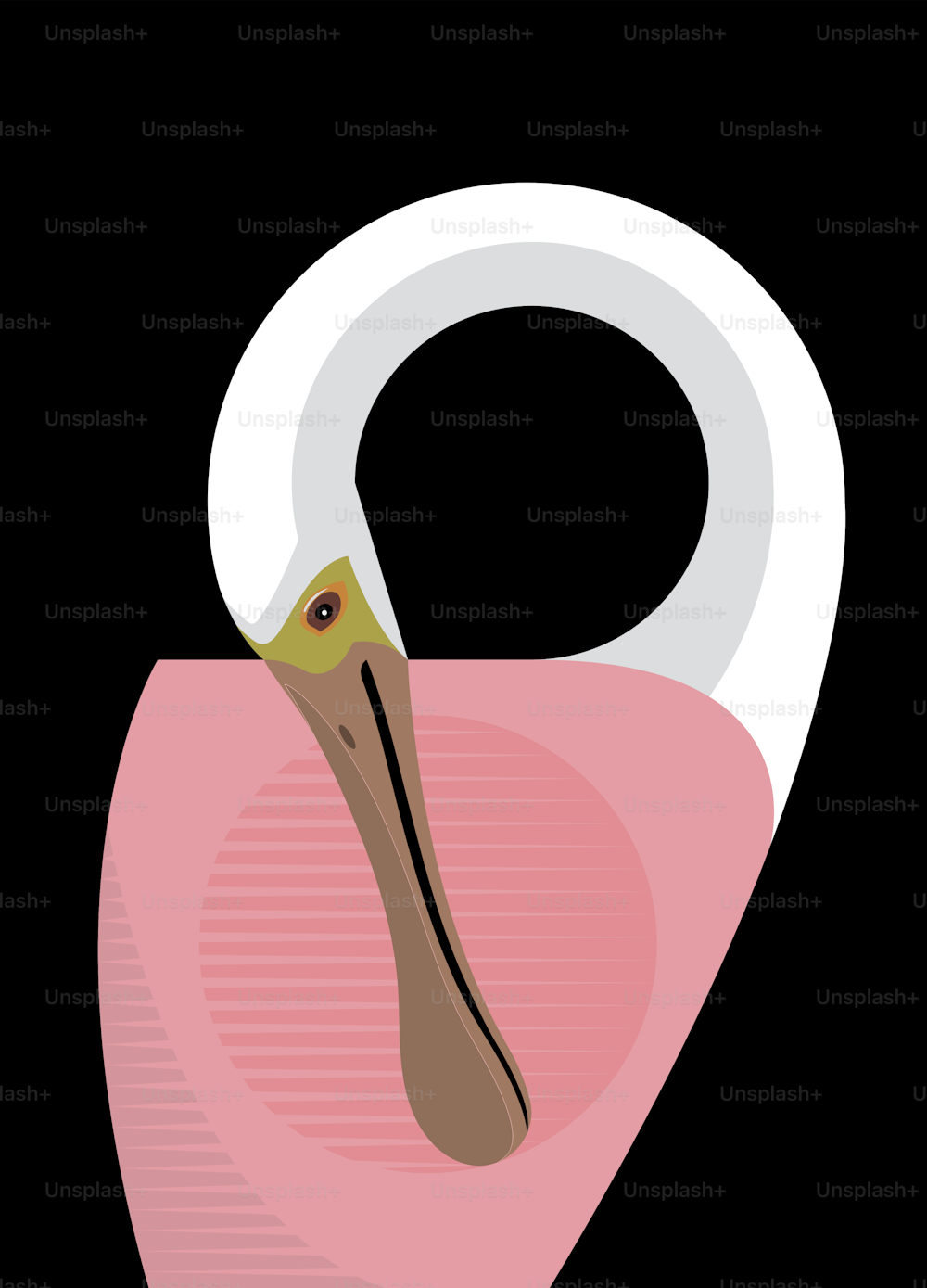 La espátula rosada limpia las plumas, imagen estilizada, vector